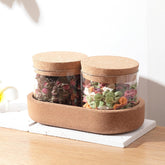 Heart Home Borosilicate Jars with Cork Lids and A Cork Tray for Kitchen | Pack of 2 | 270ml | Airtight Glass Containers with Lid | Kitchen Containers Set | Multipurpose | Transparent